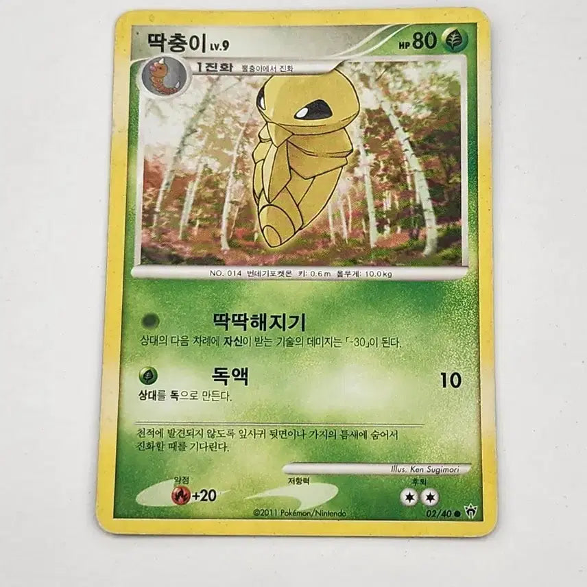 [BUNJANG] Pokemon Card - Venomoth DP Ancient Card / 포켓몬카드 딱충이 dp 고대카드