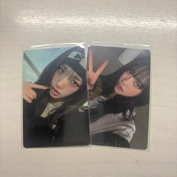 [BUNJANG] Miyau Photocard Bundle Set / 미야오 수인 포카 일괄 0.6