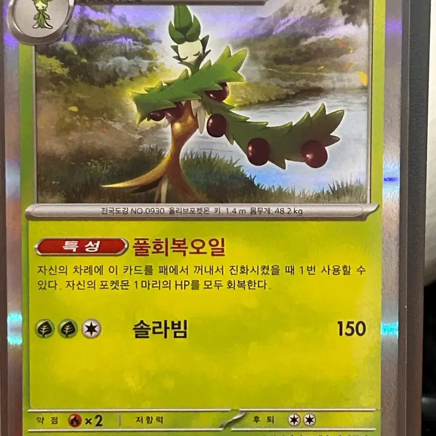 [BUNJANG] Pokemon Card Ollivory Mirror Holofoil 017/190 / 포켓몬 카드 올리르바 미러 홀로그램