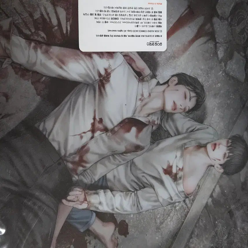[BUNJANG] Audio Comics Illustrator Suede Poster L-Holder Healer / 오디오코믹스 일러스트 스웨이드 포스터 L홀더 힐러