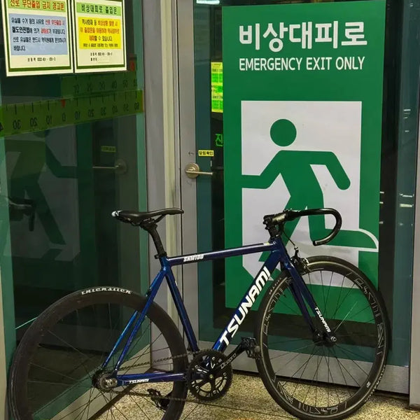 [BUNJANG] Tsunami SNM 100 Chameleon S Fixed Gear Bicycle / 쓰나미 SNM 100 카멜레온 S사이즈 팝니다