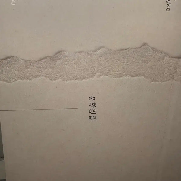[BUNJANG] Son Chang-bin Literature Establishment Study Book / 손창빈t 문학정립