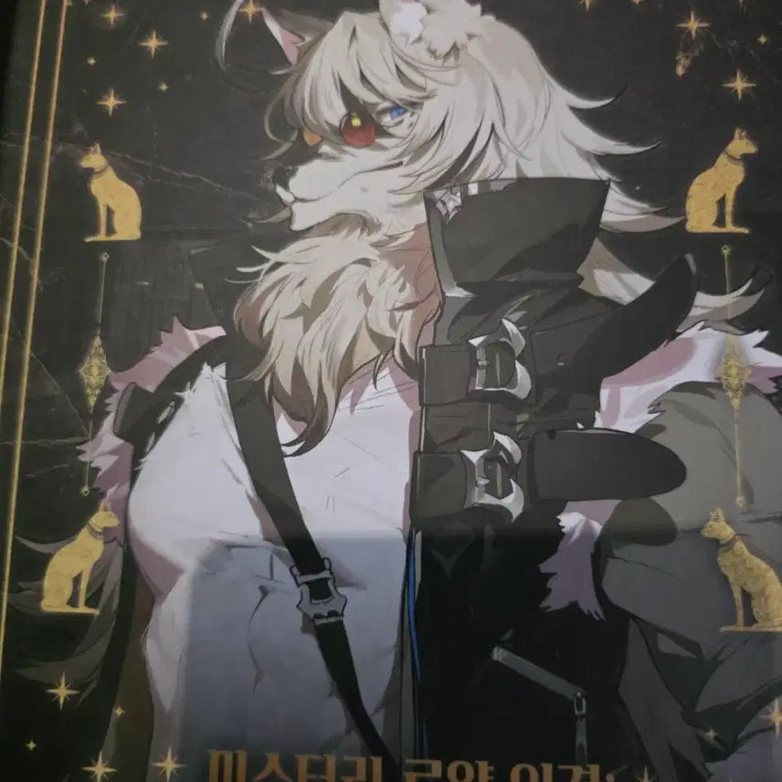 [BUNJANG] Mystery Royal Outer Realm Clue Overlap Board Game / 미스터리 로얄 외경 단서중첩현장 보드게임
