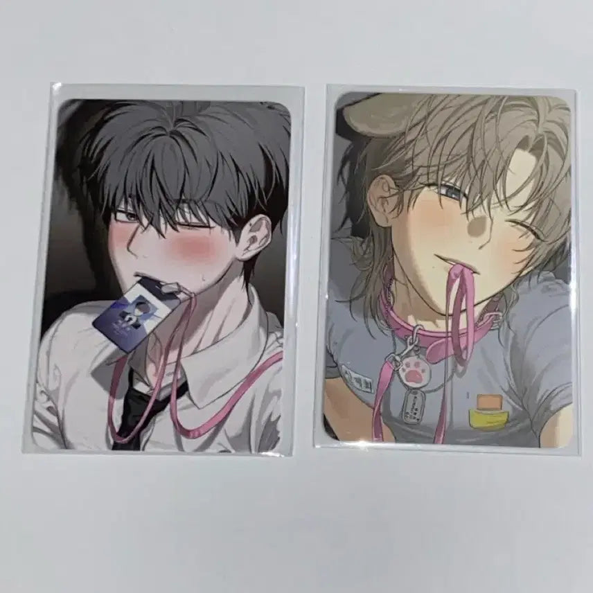 [BUNJANG] Mr. Blue Pop-up Company Bundle Set Photocard / 미스터블루 팝업 사용후 반품불가 5만원 특전 5특 포카 일괄 미블컴퍼니