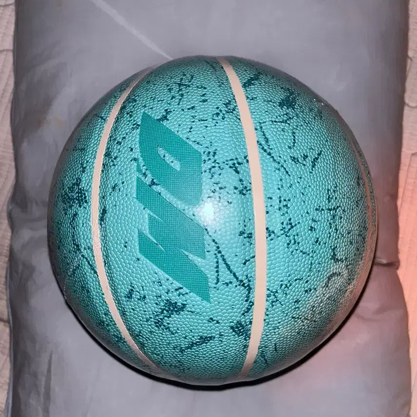 [BUNJANG] Domman Size 7 Basketball Mint Color / 동맨공 판매합니다 7호 민트색상 농구공 동맨 (네고가능)