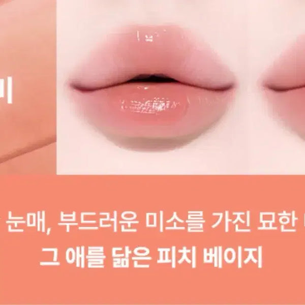 [BUNJANG] Tiptoe Bullet Sorbet Tint 102 Remy / 팁토우 블러렛 소르베 틴트 102 레미
