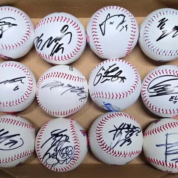 [BUNJANG] KBO Baseball Autograph Ball / 프로야구 로고볼 싸인볼