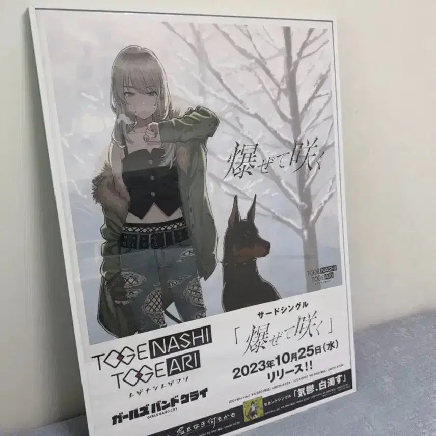 [BUNJANG] Bandori Kawaragi Momoka Sakuragi B2 Wall Scroll / 걸즈 밴드 크라이 카와라기 모모카 하제테 사쿠 B2 포스터 액자
