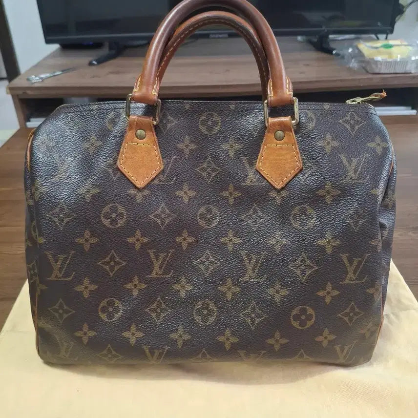 [BUNJANG] Louis Vuitton Speedy 30 Bag / 루이비통스피디 30