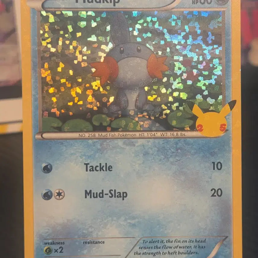 [BUNJANG] McDonald's 25th Anniversary Water Pokémon Holo Card 19/25 / 북미판 25주년 맥도날드 물짱이 홀로 19/25