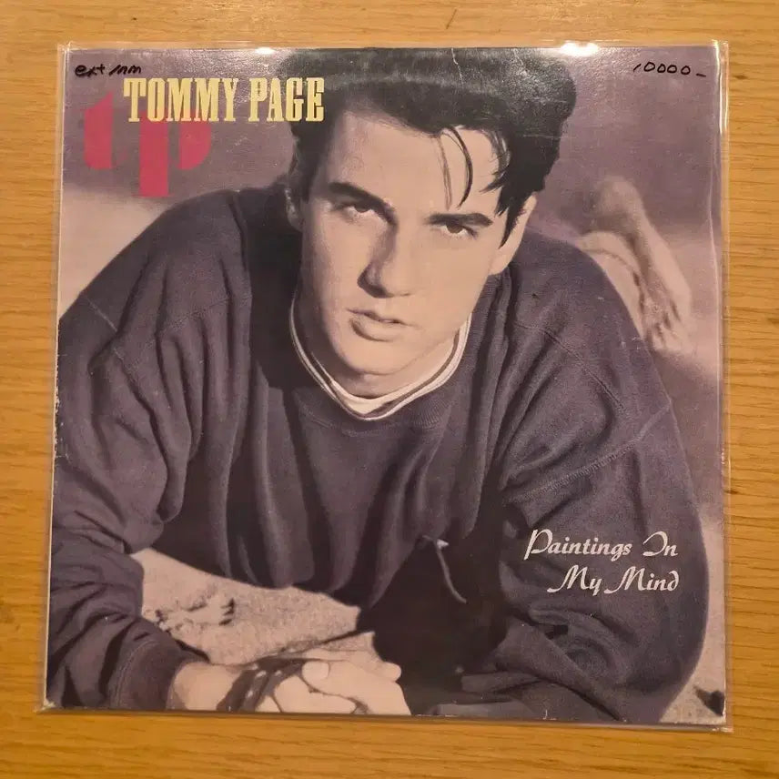 [BUNJANG] Tommy Page LP / Tommy page lp