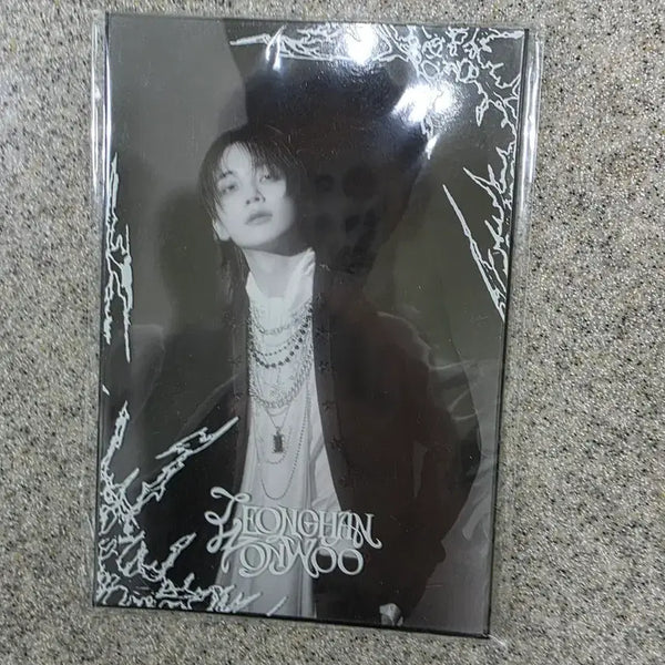 [BUNJANG] SEVENTEEN Jeonghan & Wonwoo Unit Single Postcard Set / 세븐틴의 정한과 원우가 결성한 유닛의 싱글 엽서 세트