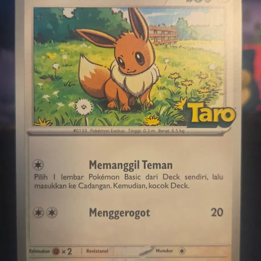 [BUNJANG] Taro Indonesia Promo Eevee & Snorlax Set / 인도네시아 TARO 프로모 이브이 + 잠만보 세트
