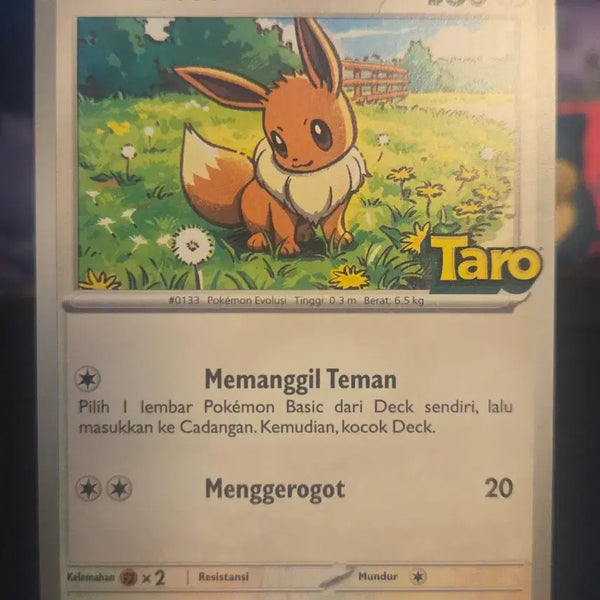 [BUNJANG] Taro Indonesia Promo Eevee & Snorlax Set / 인도네시아 TARO 프로모 이브이 + 잠만보 세트
