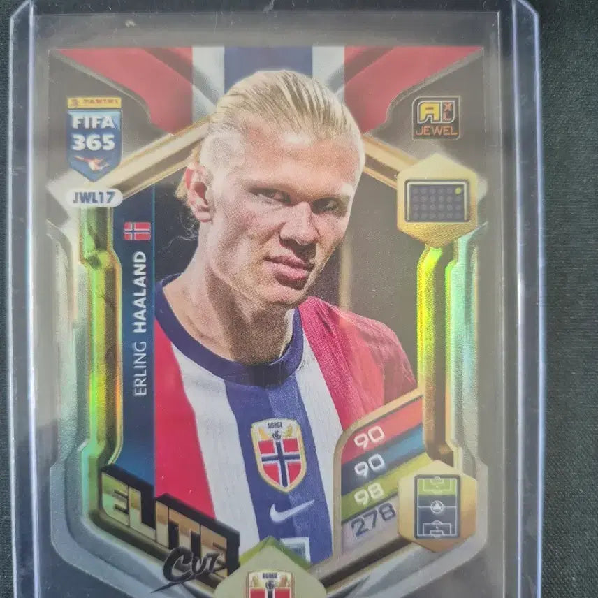 [BUNJANG] Panini FIFA 365 Erling Haaland Elite Cut Card / 파니니 FIFA 365 엘링 홀란드 카드 엘리트컷