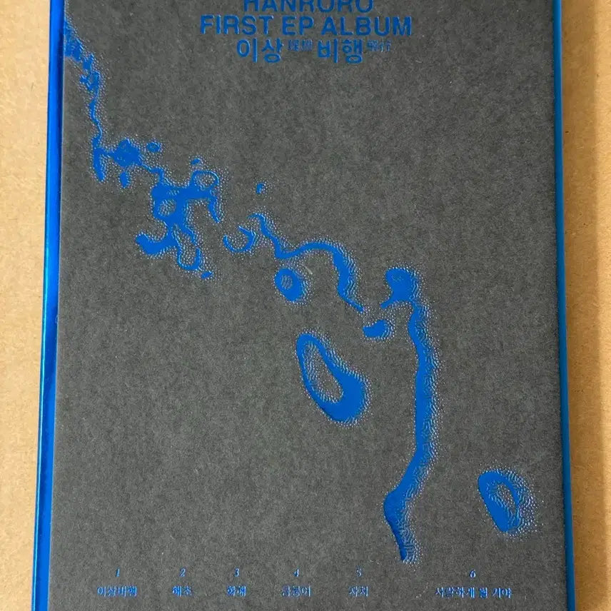 [BUNJANG] IRL (In Real Life) 'IRRESPONSIBLE BEHAVIOR' Album (Unsealed, Photocard Excluded) / 한로로 이상비행 개봉 앨범(포카x)