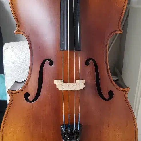 [BUNJANG] Didejong Cello 4/4 / 국산 더디죵 첼로  4/4