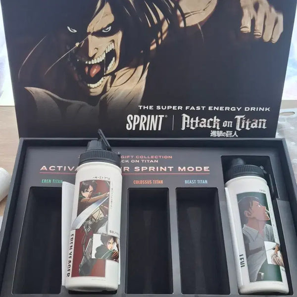[BUNJANG] Attack on Titan Levi & Eren Sprint Figure Set / 진격의 거인 스프린트 리바이+에렌