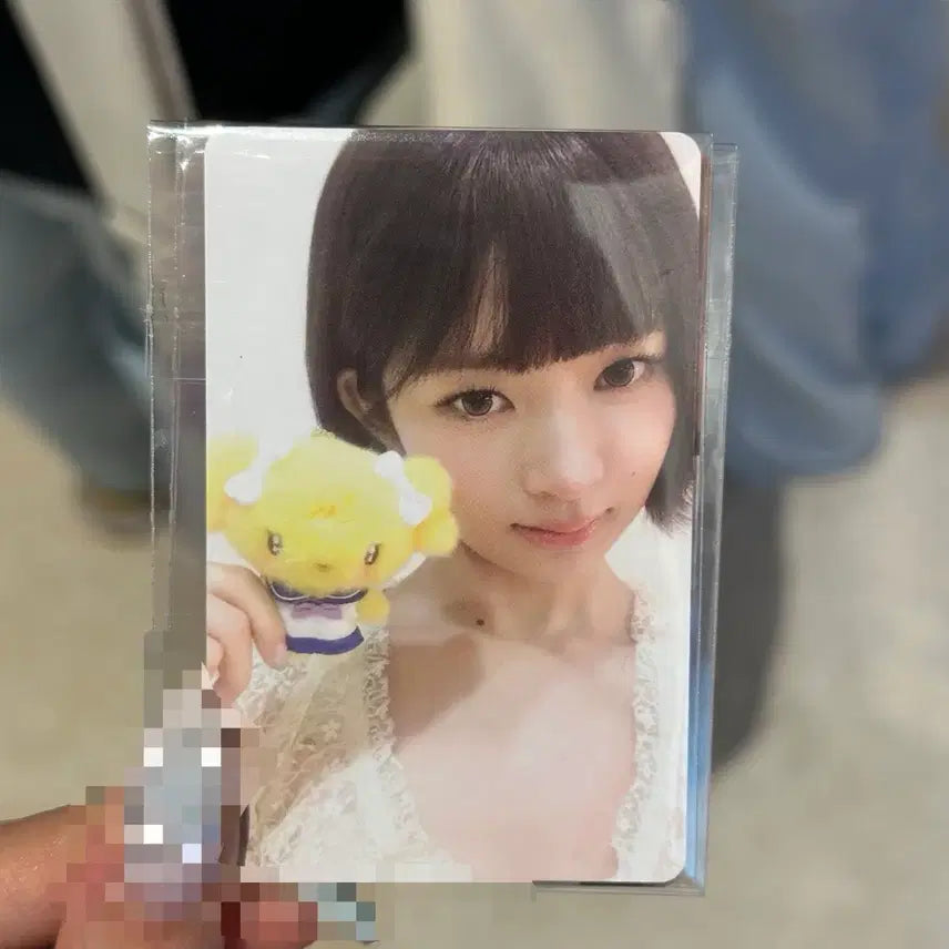 [BUNJANG] IVE Popup Store Lucky Draw Photocard / 아이브 팝업 7만원 특전