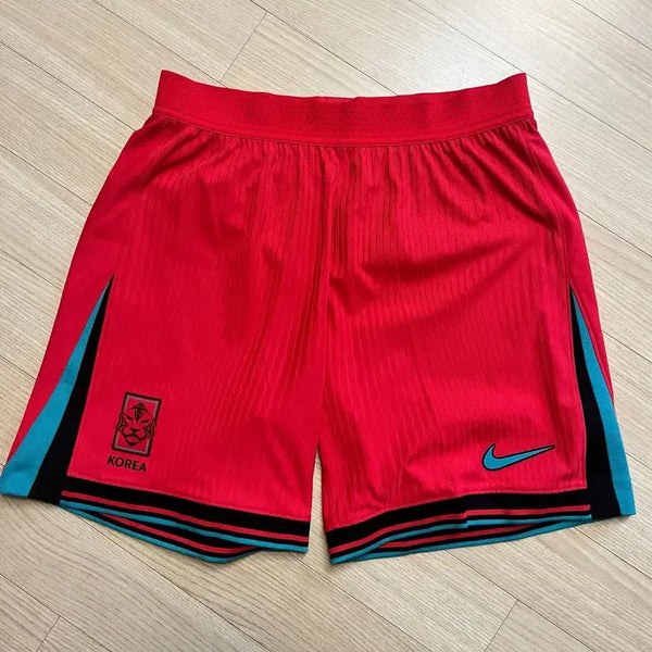 [BUNJANG] Nike National Team ADV Soccer Shorts / 나이키 국대 adv축구바지