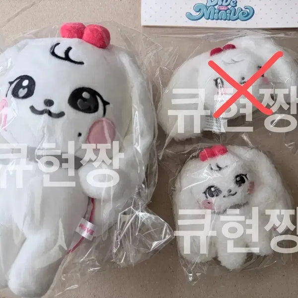 [BUNJANG] IVE MiniBye Cherry Bundle Set Photocard Holder (Sealed) / (현물 당일 배송) 아이브 미니브 체리 미개봉 일괄 양도