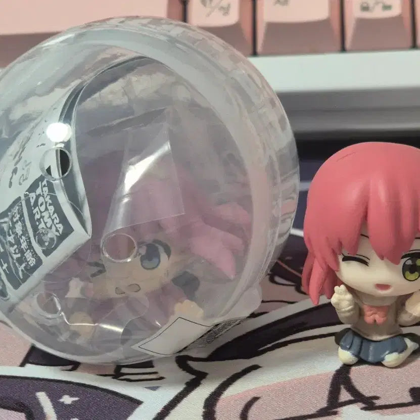[BUNJANG] Bocchi the Rock! Bocchi & Kita Gacha Figure Set / 봇치 꽈당 가챠 피규어 키타 망고박스 봇치더록 봇치더락