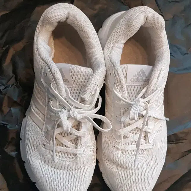 [BUNJANG] Adidas Women's Sneakers JP235 / 여성 아디다스 운동화 JP235