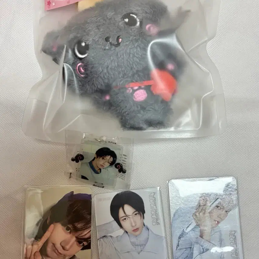 [BUNJANG] NCT WISH Original Wishdoll Kuri & Riku Photocard Bundle Set / 엔시티 위시 오리지널 위시돌 쿠리 리쿠 위시돌 네오그라운드 트레카 원가양도