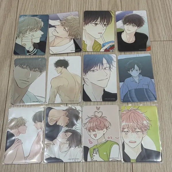 [BUNJANG] Cheong Sagwa Nakwon Bundle Photocard Set / bl 모펀 청사과낙원 청낙원 방문 포토카드 포카 방포 12종 올클