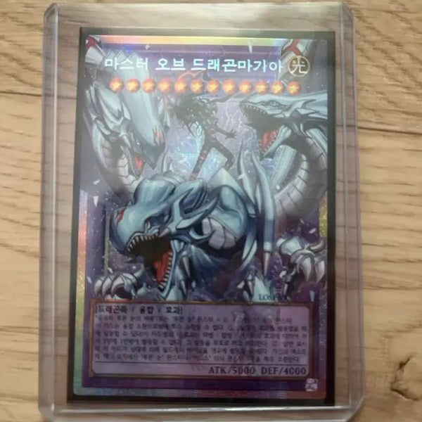 [BUNJANG] Yu-Gi-Oh! Master of Dragon Magia Over Frame Phsik Card / 유희왕 마스터 오브 드래곤 마기아 오버 프레임 프시크 카드 팔아요