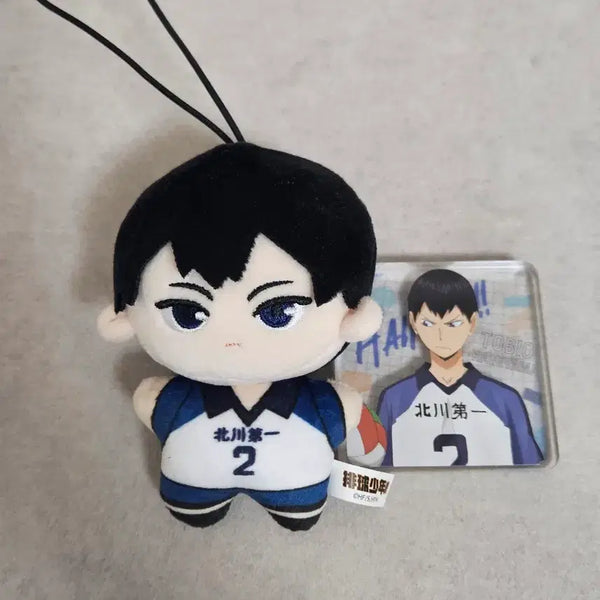 [BUNJANG] Haikyuu!! Kageyama Tobio Nui & Acrylic Block Bundle Set / (일괄) 하이큐 카게야마 nullset 누이, 아크릴블럭