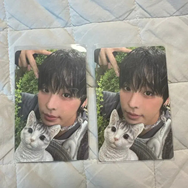 [BUNJANG] NCT WISH Riku Color Jewel Photocard / 엔시티위시 리쿠 컬러 쥬얼 개인반 포카