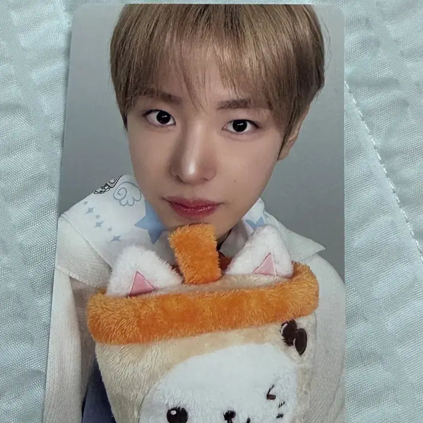 [BUNJANG] Wish Bakery Yuushi Photocard / 위시베이커리 포카 유우시