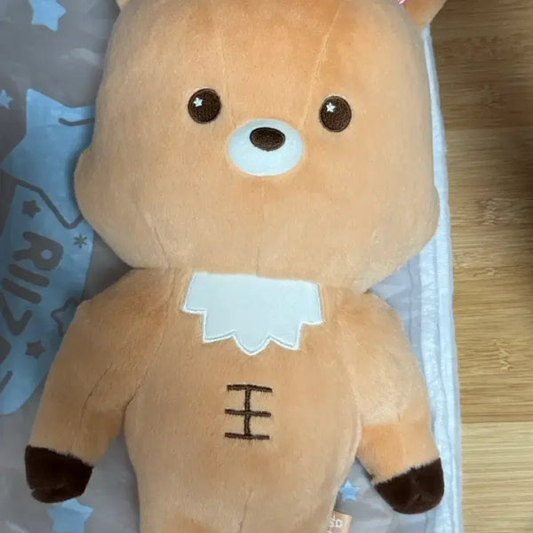 [BUNJANG] RIIZE Sungchan 40cm Plush Doll / 라이즈 성찬 우락밤 40cm 인형