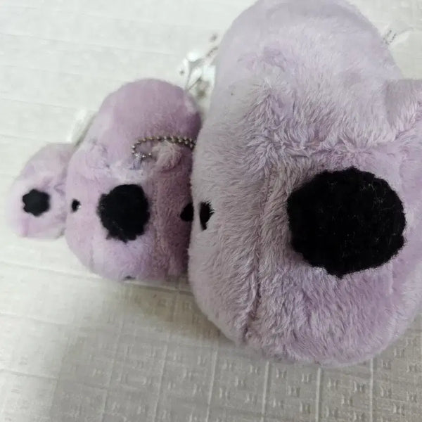 [BUNJANG] Capybara Regent Bundle Set / 카피바라상 리젠트 일괄