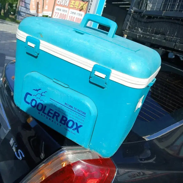 [BUNJANG] Medium Size Blue Cooler Box / 쿨러박스 블루 아이스박스중간크기