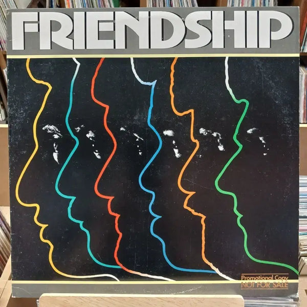 [BUNJANG] Friendship Fusion Jazz LP / 퓨전 재즈 FRIENDSHIP LP