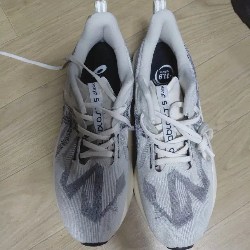 [BUNJANG] Asics Tennis Shoes (285mm) / 아식스신발285