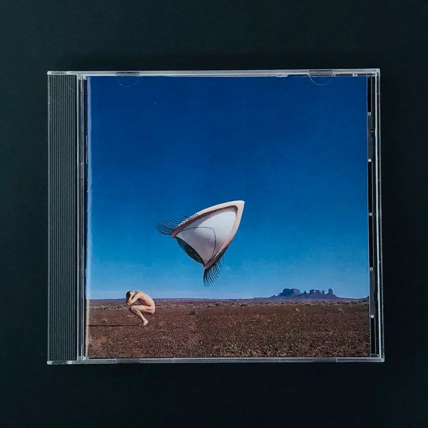 [BUNJANG] The Cranberries Bury the Hatchet CD (1999) / [CD중고] 크랜베리스 (The Cranberries) / Bury the Hatchet
