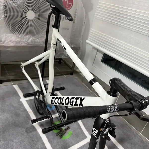 [BUNJANG] Ecologix Rhapsody R3 Full Bike / 에콜로직스 랩소디 r3 완차
