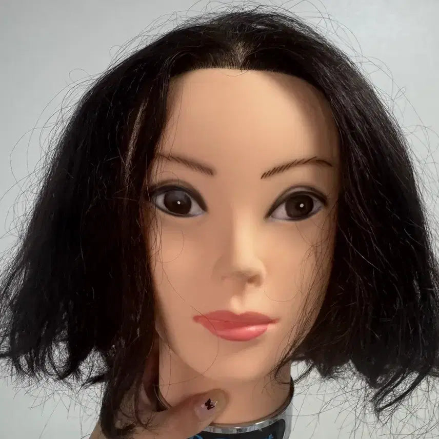 [BUNJANG] Viviat Graduated Full Wig for National Examination / 국가고시 그래쥬 통가발 비비아트