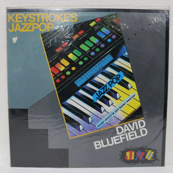 [BUNJANG] DAVID BLUEFIELD (KEYSTROKES JAZZ POP) LP Vinyl Record (1991, SS Grade, Sealed) / [NO.6220] (미개봉) DAVID BLUEFIELD (KEYSTROKES JAZZ POP) LP음반