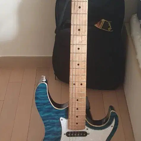 [BUNJANG] Colt G250DX Electric Guitar / 콜트 g250dx