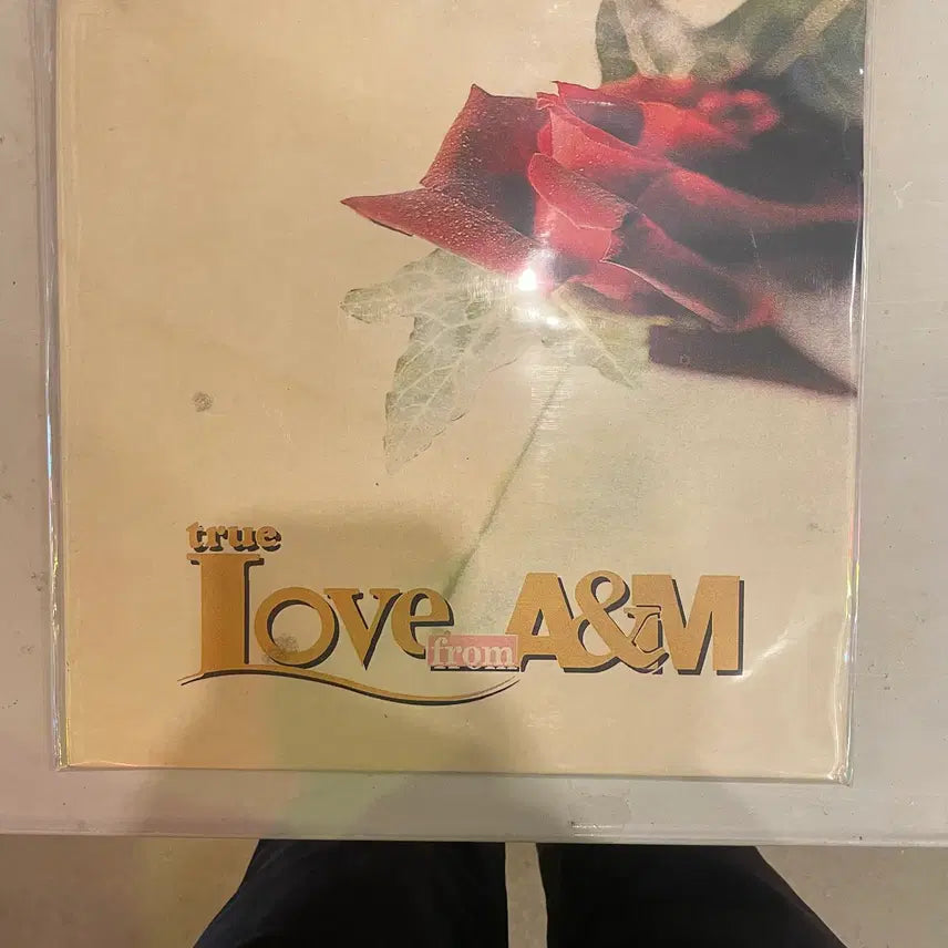 [BUNJANG] Various Artists 1990s Rare Import Vinyl LP Records / 올리비아뉴튼존/로드스튜어트등 1990년대 희귀판LP / 개별가격