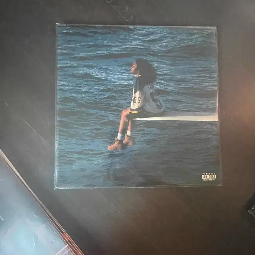 [BUNJANG] SOS Vinyl LP / sos 바이닐