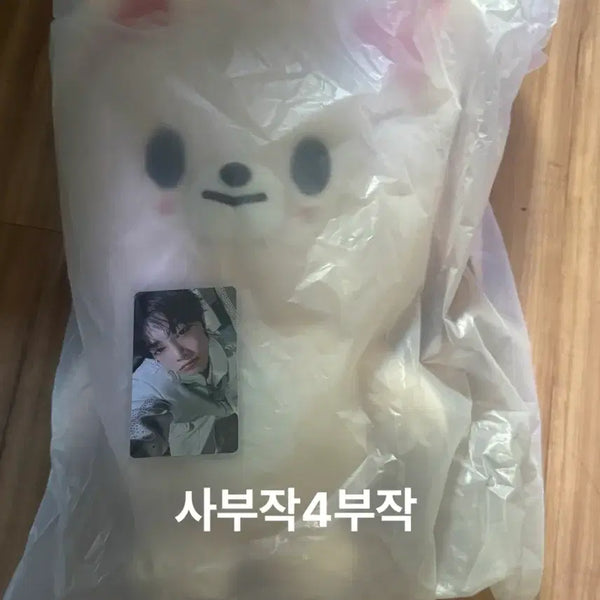 [BUNJANG] Stray Kids Fan Meeting Foxiny I.N. Plush Backpack with Photocard / 스키즈 팬미팅 엠디 폭시니 아이엔 스키주 플러시 백팩 가방 포카포함