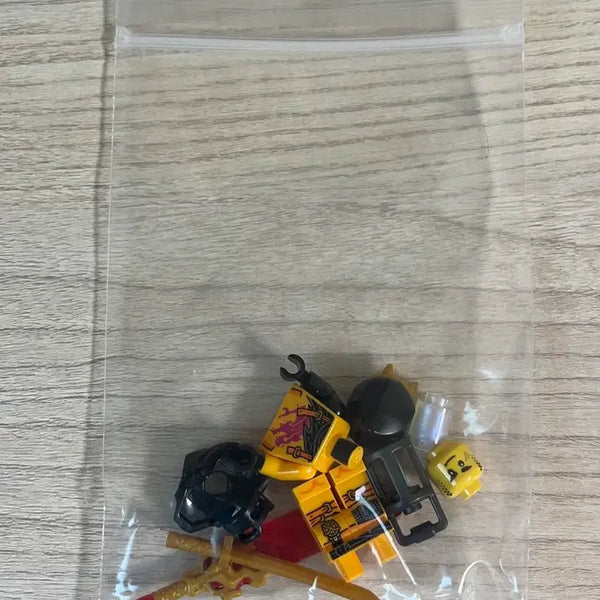 [BUNJANG] LEGO Ninjago Dragon Rising Arin Figure / 레고 닌자고 드래곤라이징 71843 아린 피규어 판매