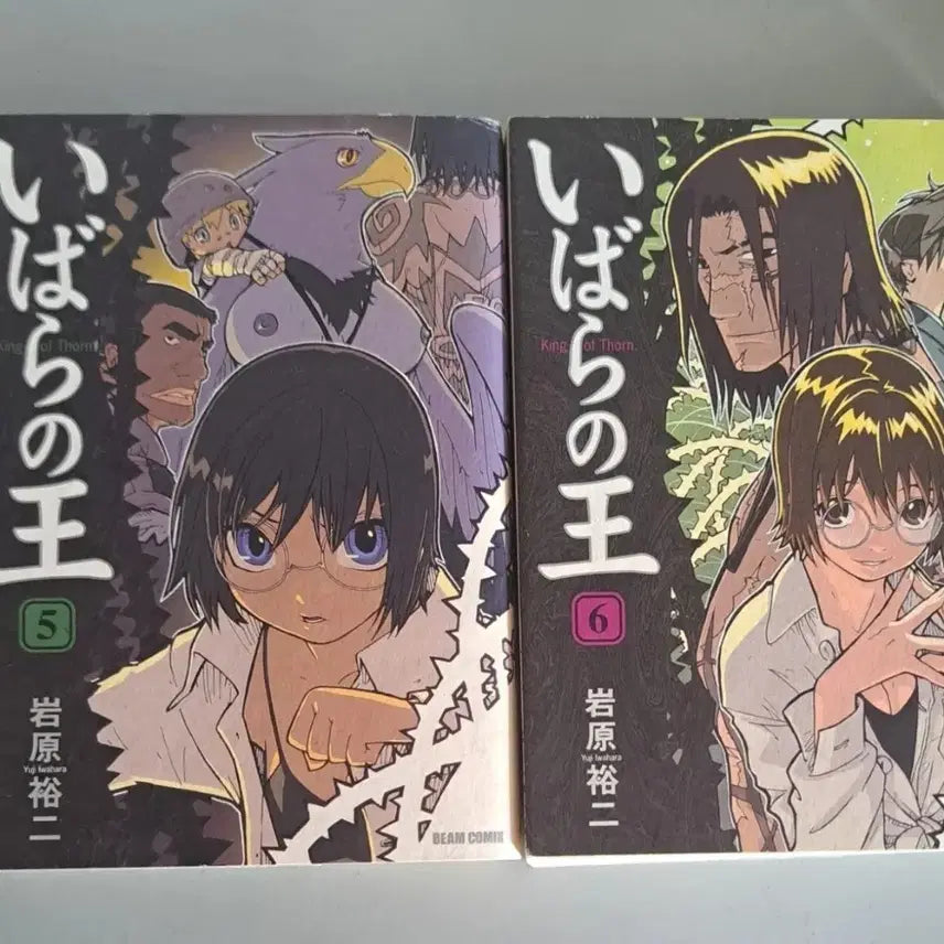 [BUNJANG] The Thorn King Japanese Import Manga Bundle / 일본원서 만화책 가시나무 왕 일괄