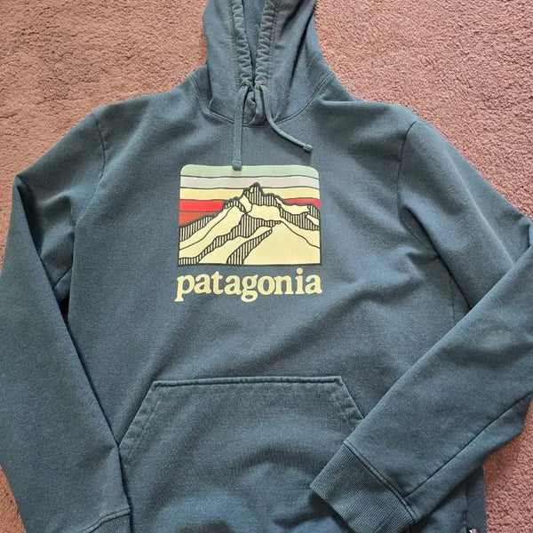 [BUNJANG] Patagonia Hooded Sweatshirt Blue / 파타고니아 후드티 블루