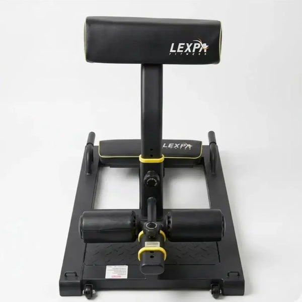 [BUNJANG] Rexpa Multi Squat Machine & Roman Chair / [상태 최상] 렉스파 멀티 스쿼트 머신 & 로만체어